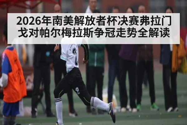 2026年南美解放者杯决赛弗拉门戈对帕尔梅拉斯争冠走势全解读